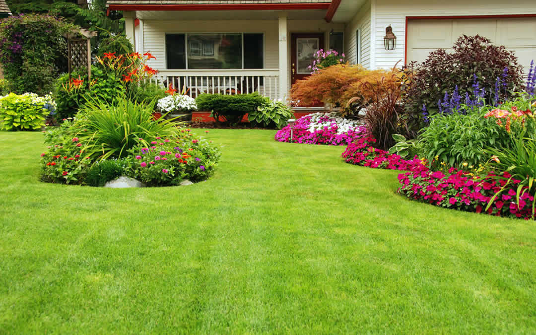 Tips for Winter Lawn Treatment to Keep Your Yard Bright