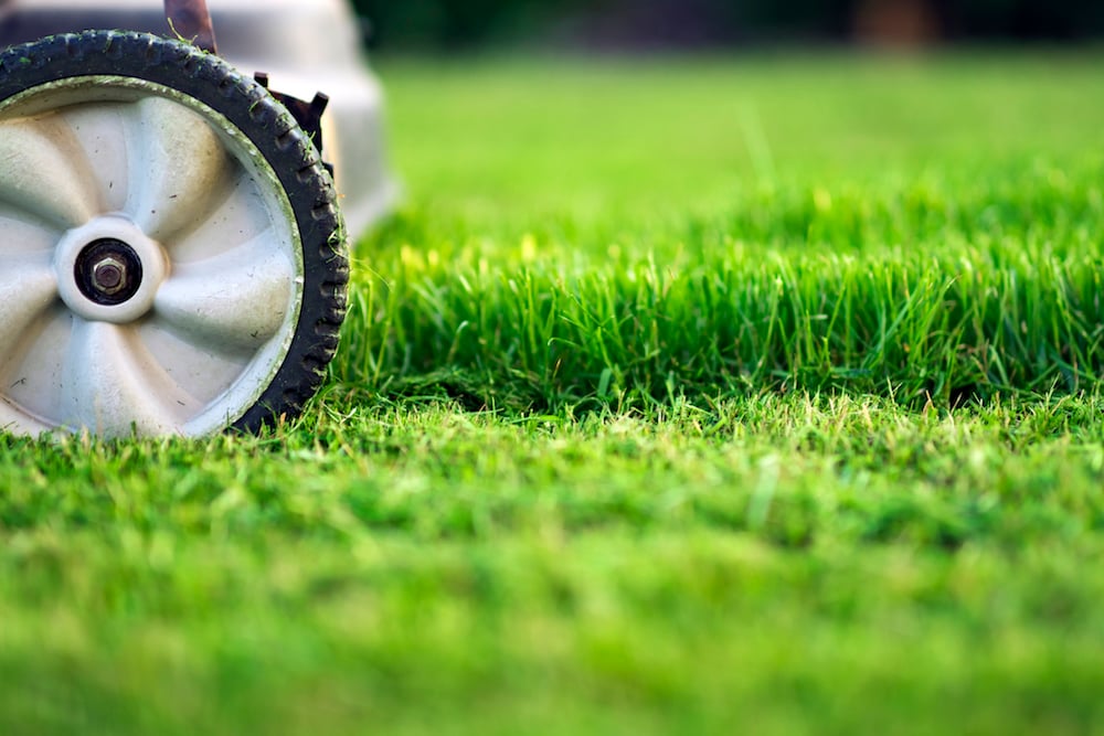 lawn mowing tips Southeast Michigan 1 - Living Home 2